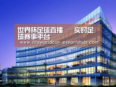 案例展示五