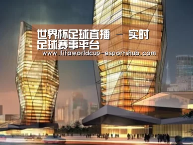 案例展示三