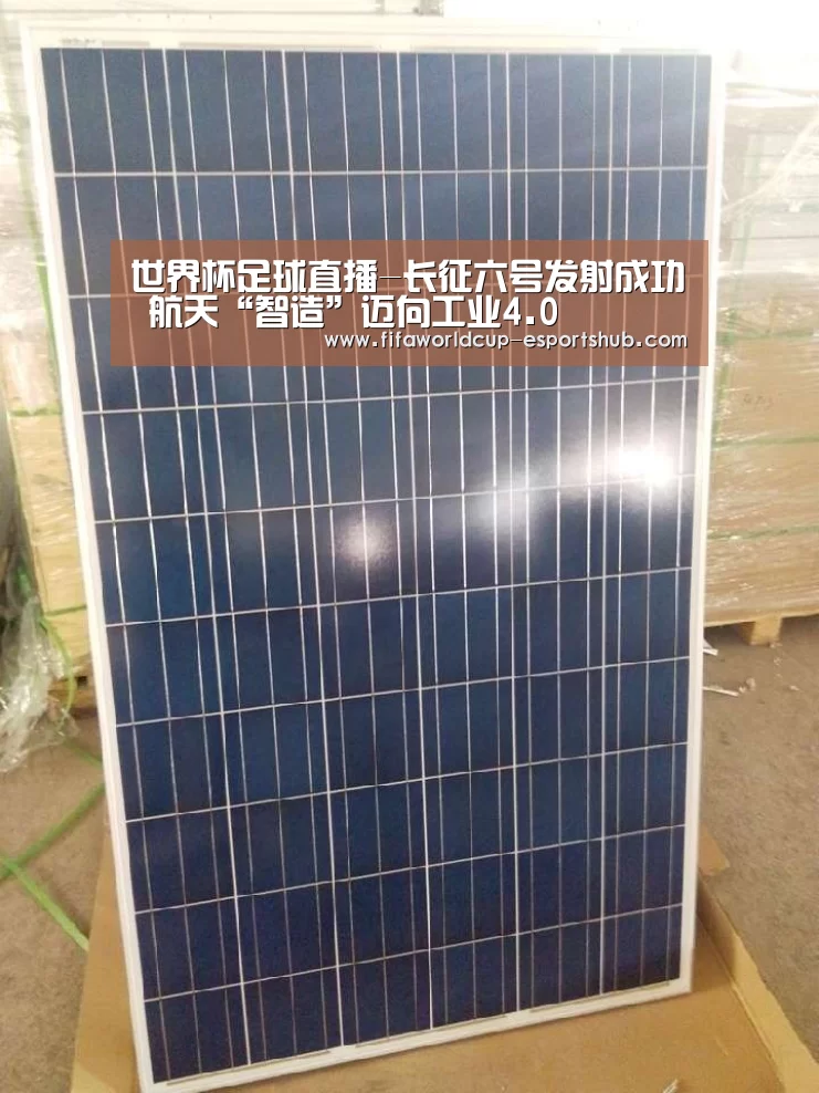 世界杯娱乐中心